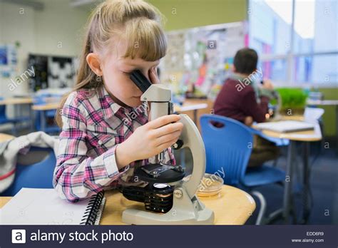 Image result for How To Use A Microscope For Elementary Students