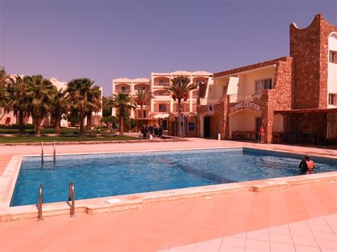 Extra Divers World Wide (Marsa Alam) - 2022 What to Know Before You Go ...