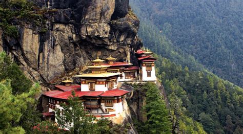 Image result for Bhutan Python Coders