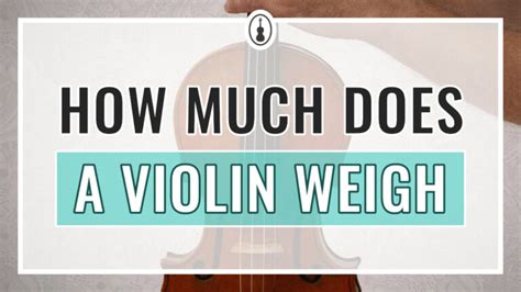 Violin 的图像结果