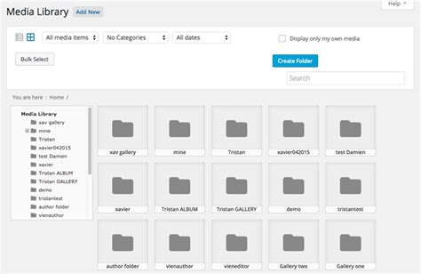 Image result for Categorizing Media Files Using Folder in WordPress