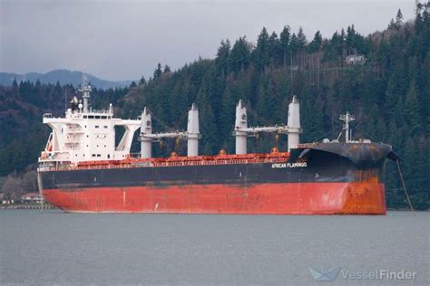 AFRICAN FLAMINGO, Bulk Carrier - Details and current position - IMO ...