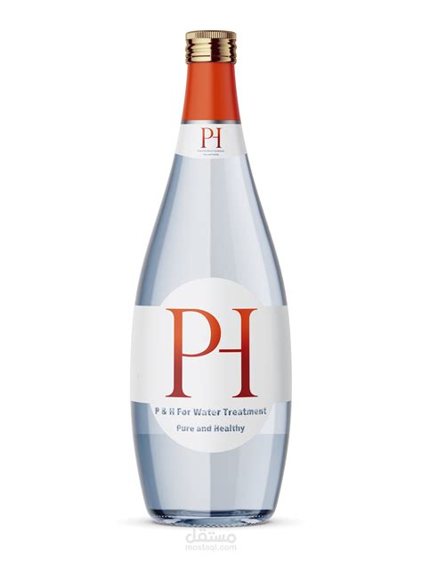 Logo for P&H Comany & Brand visual identity | مستقل