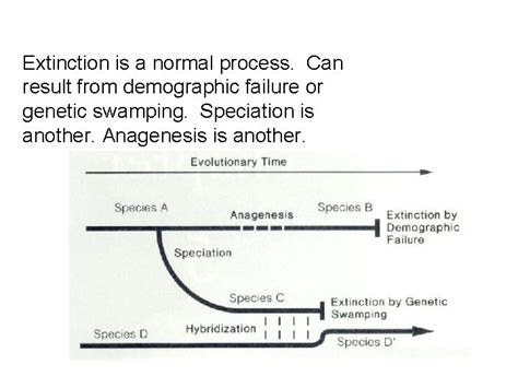 Image result for Extinction Process