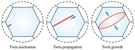 Strain Rate Dependence of Twinning Behavior in AZ31 Mg Alloys