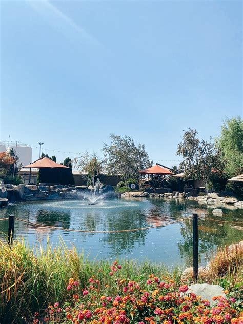 The 5 Best Wineries to Visit in Lodi, California — Lexi's Wine List