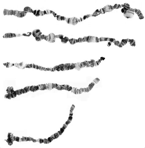 Image result for Spatial Line Map