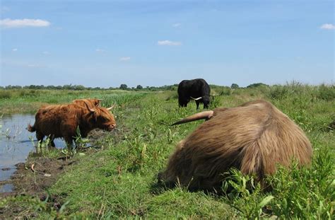 Re-wilding talk with Kevin James, Gibraltar Road, PE24 4SU Skegness ...