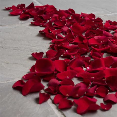 Fresh Rose Petals - Blume, designed by Victoria Swarovski