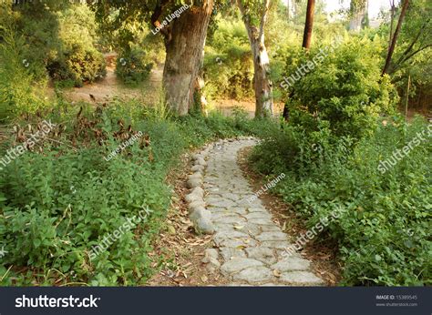 City Park Scene Prospect Park Redlands Stock Photo 15389545 | Shutterstock