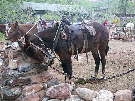 Image result for Mule 4 Foreach Example