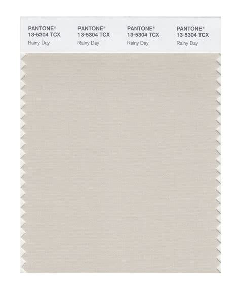 Pantone SMART Color Swatch Card 13-5304 TCX Rainy Day - Columbia Omni ...