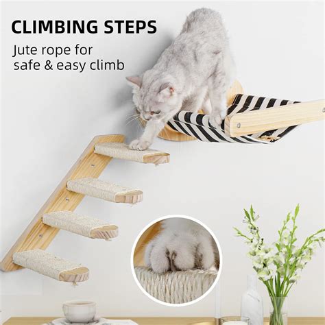 Buy BIHYM Cat Shelves Wall Mounted Hamock Modern Cat Wall Furniture ...