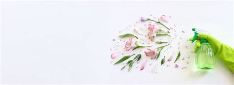 Image result for Spring Clean House