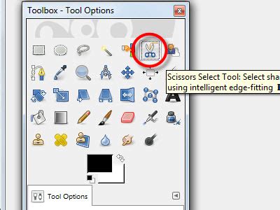 Image result for Intelligent Scissors