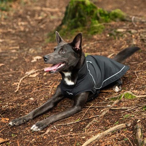 Fleece Lined Dog Coat | Mountain Paws