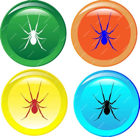 Spider Web Website HTML CSS JavaScript 的图像结果