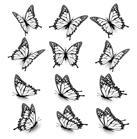 Premium Vector | Collection of butterflies flying in different ...