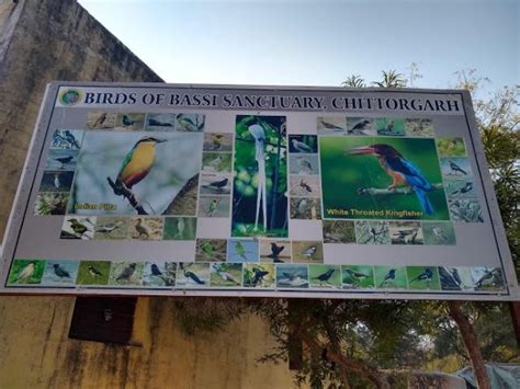 Bassi Wildlife Sanctuary | Chittorgarh - What to Expect | Timings ...