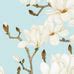 Monsoon, Indian Peacock Room Wallpaper | Life n Colors