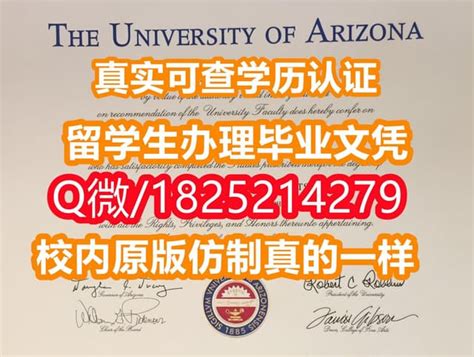 《亚利桑那大学毕业证|学位证书校内仿真版本》 | PPT
