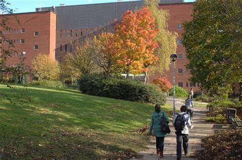 Image result for Numerical Analysis