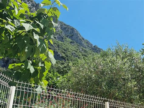 LE MOULIN DU PONT D'ALIES (Axat) - Campground Reviews, Photos, Rate ...