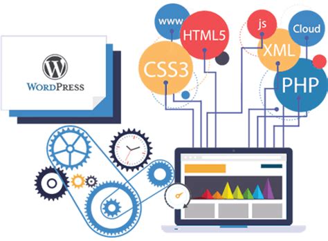 Image result for CMS Website Design