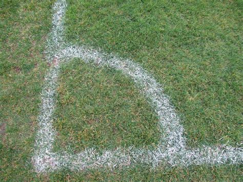 Image result for Geometry Real Life Examples