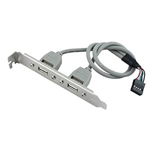 Amazon.in: Buy Motherboard Cable - 2 Ports USB 2.0 Header Port Slot ...