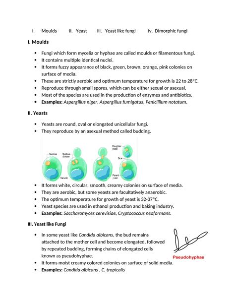 Fungi (Characteristics, morphology, classification, reproduction, economic importance).docx