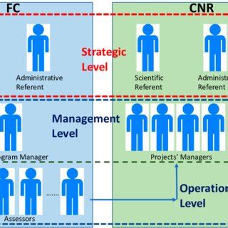 Image result for Different Types of Management Structure Engineering