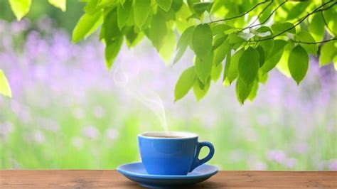 Fortis gastroenterologist says tea on empty stomach is ‘basically acid ...