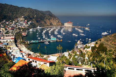 Catalina Island: Best place to take photos in Avalon, CA – Wildsight ...
