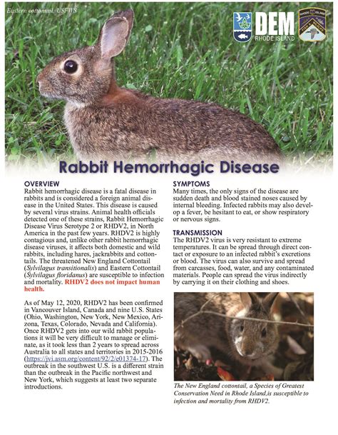Young forest and shrubland habitat resources | Young Forest & Shrubland