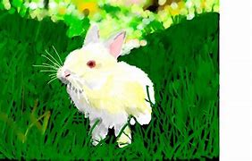 Image result for Vintage Rabbit Drawings