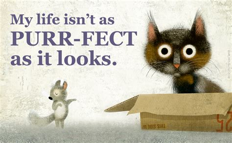 Image result for Cat Problems Book Review