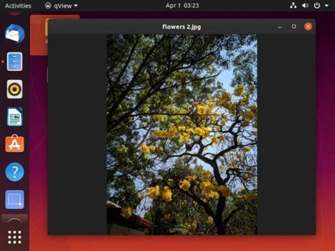Image result for Mac Image Viewer
