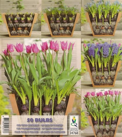 Lasagna bulb planting for 2 months of flowers in one big  