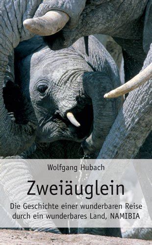Zweiäuglein - Die Geschichte einer wunderbaren Reise durch ein ...
