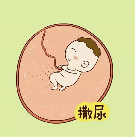 怀孕32周，肚子很饿却吃不下，恭喜你，胎儿猛涨期到了_孕妇