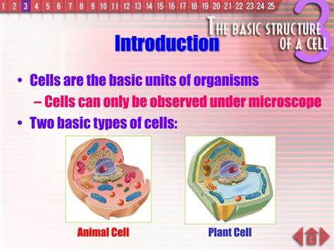 Image result for Cell Introduction