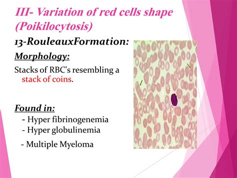 RBC Morphology.pdf