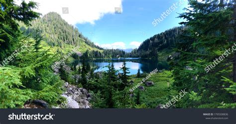 Washington 的图像结果