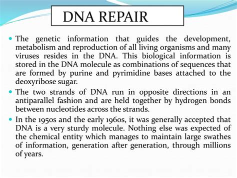 Repairing DNA 的图像结果