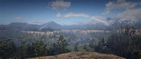 Image result for RDR2 Environment