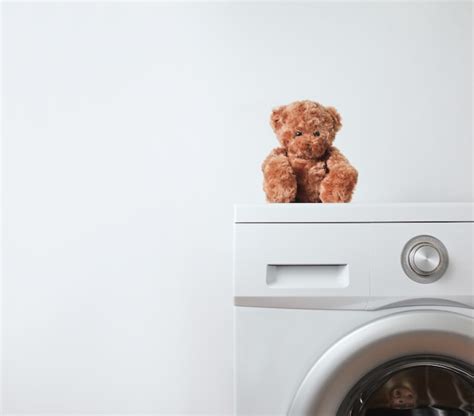 Image result for Bear Washing Machine Prank