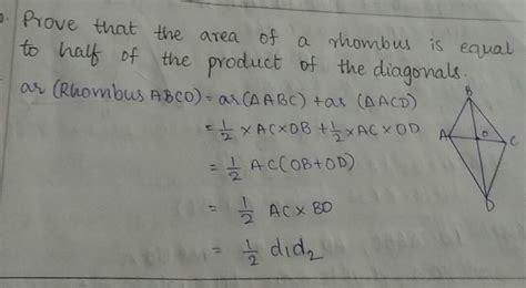 prove that the area of rhombus is equal to half of the product of the ...