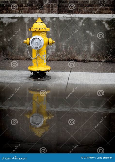 Yellow Fire Hydrant stock photo. Image of emergency, flow - 9791010