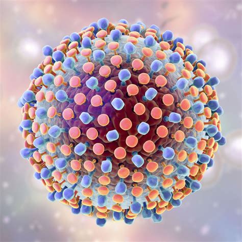 Die Entdeckung des Hepatitis-C-Virus - Hepatologie - Universimed ...